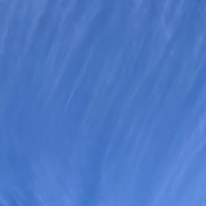 Meet your Posher, Neva